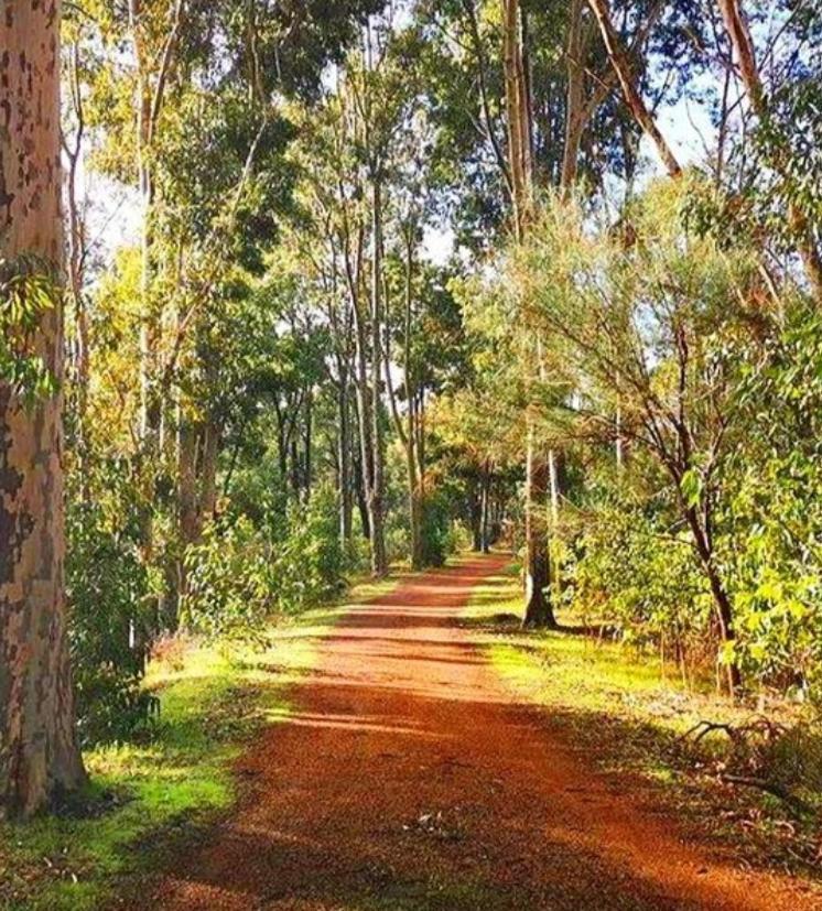 Mahogany Inn And Distillery Mahogany Creek 外观 照片
